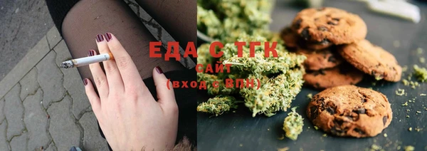 амф Бородино