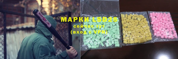 амф Бородино