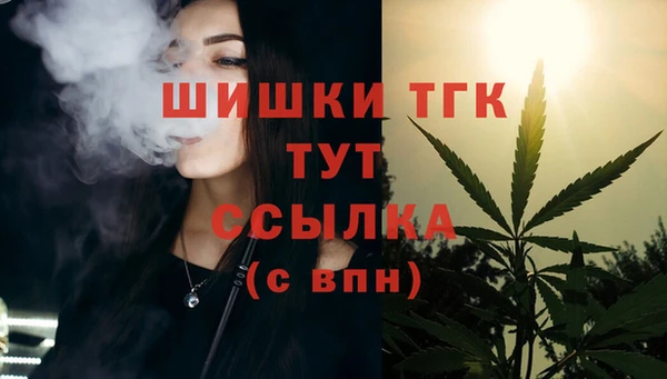 амф Бородино