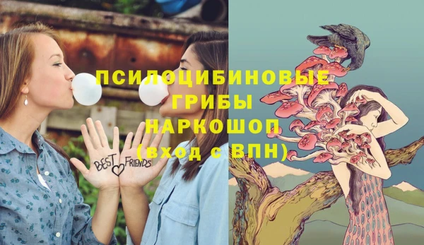 твердый Зерноград