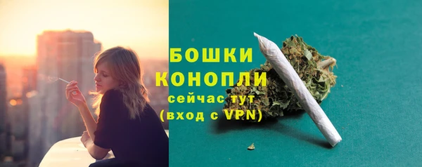 амф Бородино