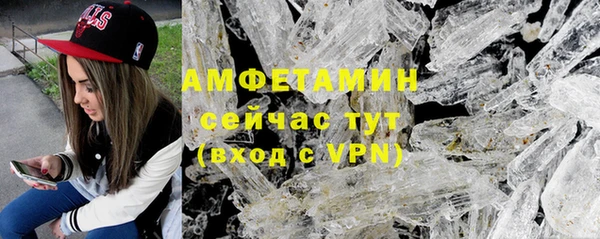 амф Бородино