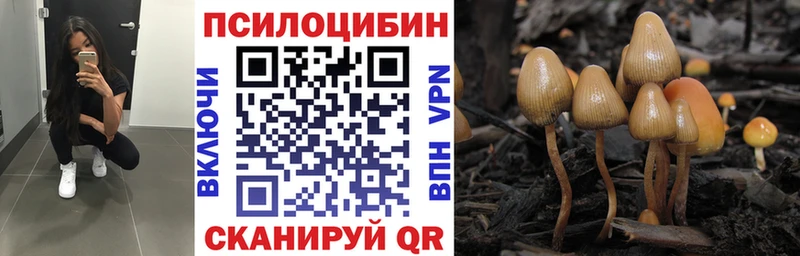 даркнет сайт  Когалым  Галлюциногенные грибы Psilocybine cubensis 
